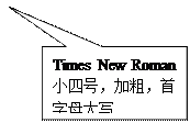矩形标注: Times New Roman小四号，加粗，首字母大写
