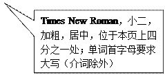 矩形标注: Times New Roman，小二，加粗，居中，位于本页上四分之一处；单词首字母要求大写（介词除外）